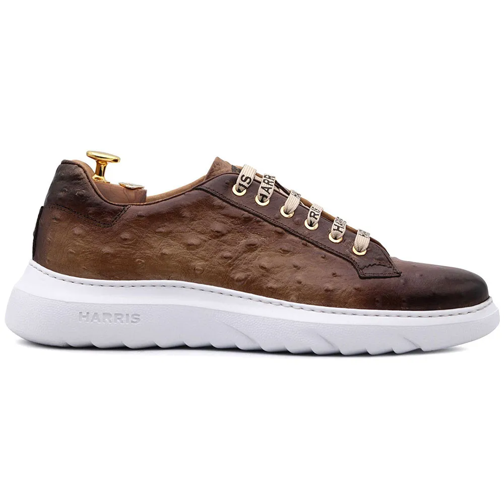 Harris Firenze 1913 Ostrich Print Leather Sneakers Brown